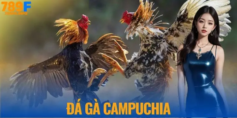 Đá gà Campuchia mang đến cơ hội đổi đời nhanh chóng tại 789F