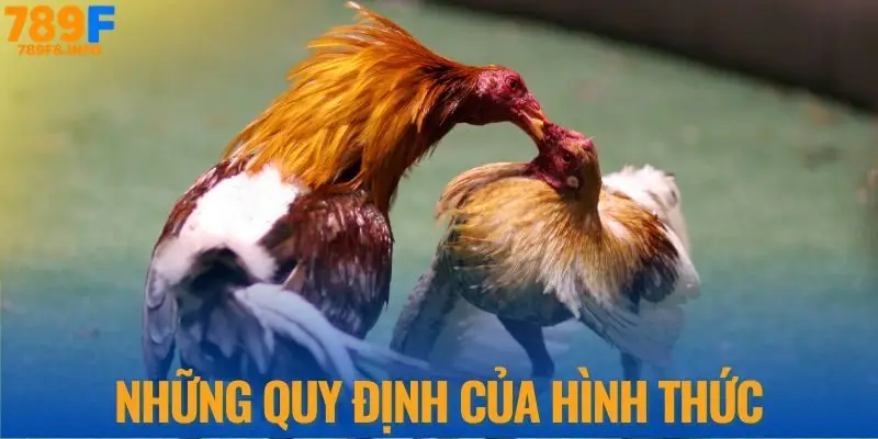 Những quy định của hình thức đá gà cựa sắt