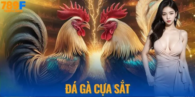 Đá gà cựa sắt đấu trường kịch tính bậc nhất tại 789F