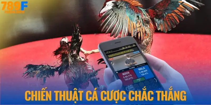 Chiến thuật cá cược chắc thắng tại 789F